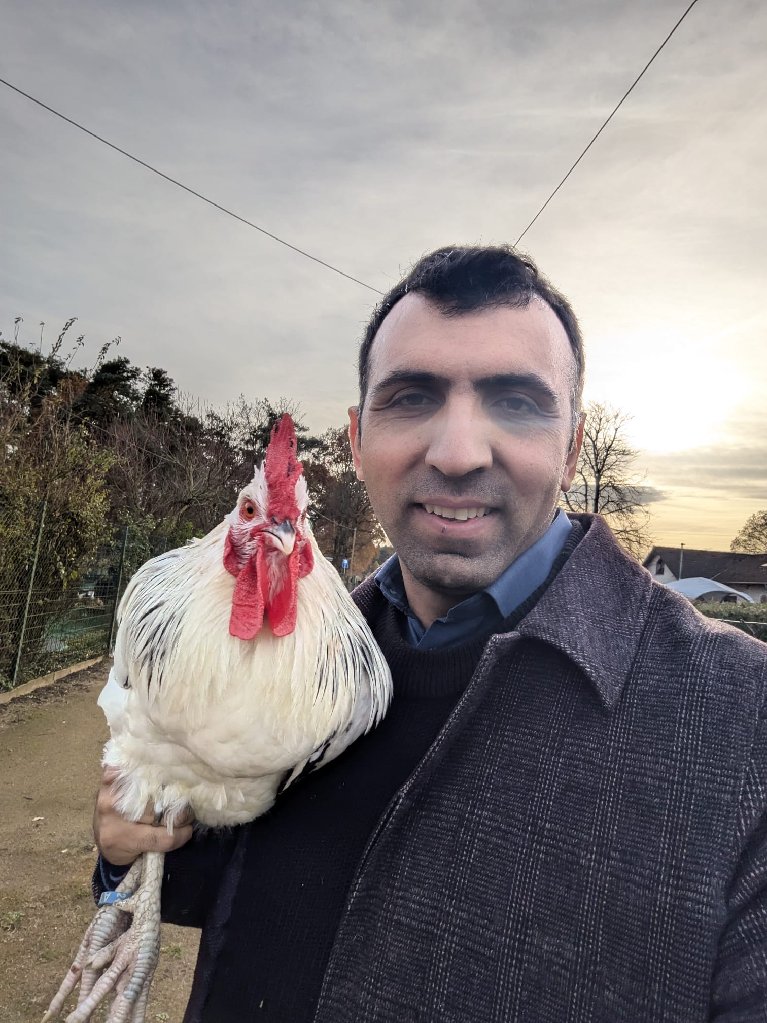 WhatsApp Image 2024-11-25 at 00.43.09